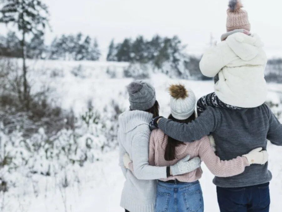 В Подмосковье для многодетных семей будет передано 280 гектаров областной земли