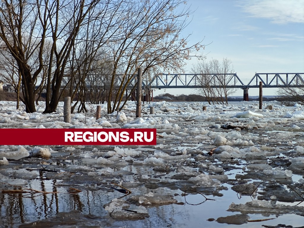 Уровень воды в реке Оке поднялся свыше 518 сантиметров | REGIONS.RU /  Серпухов