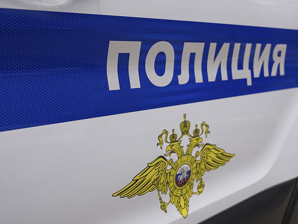 Морально устойчивых жителей Пушкинского округа пригласили на службу в полиции