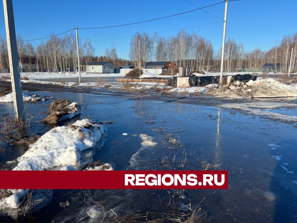Деревня в Павлово-Посадском тонет из-за паводка