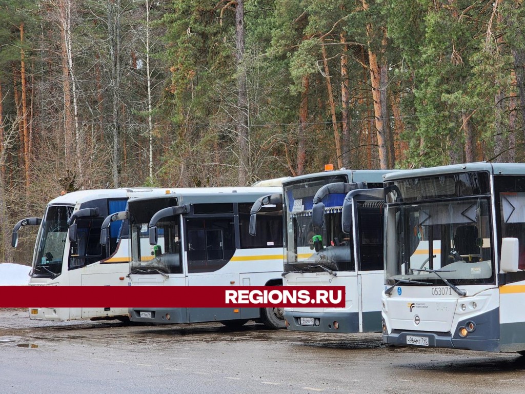 Депутаты Большого Серпухова решают вопрос о запуске прямого автобуса до Подольска