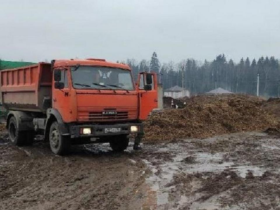 Минэкологии потребовало привести в порядок земели в поселке Вешки