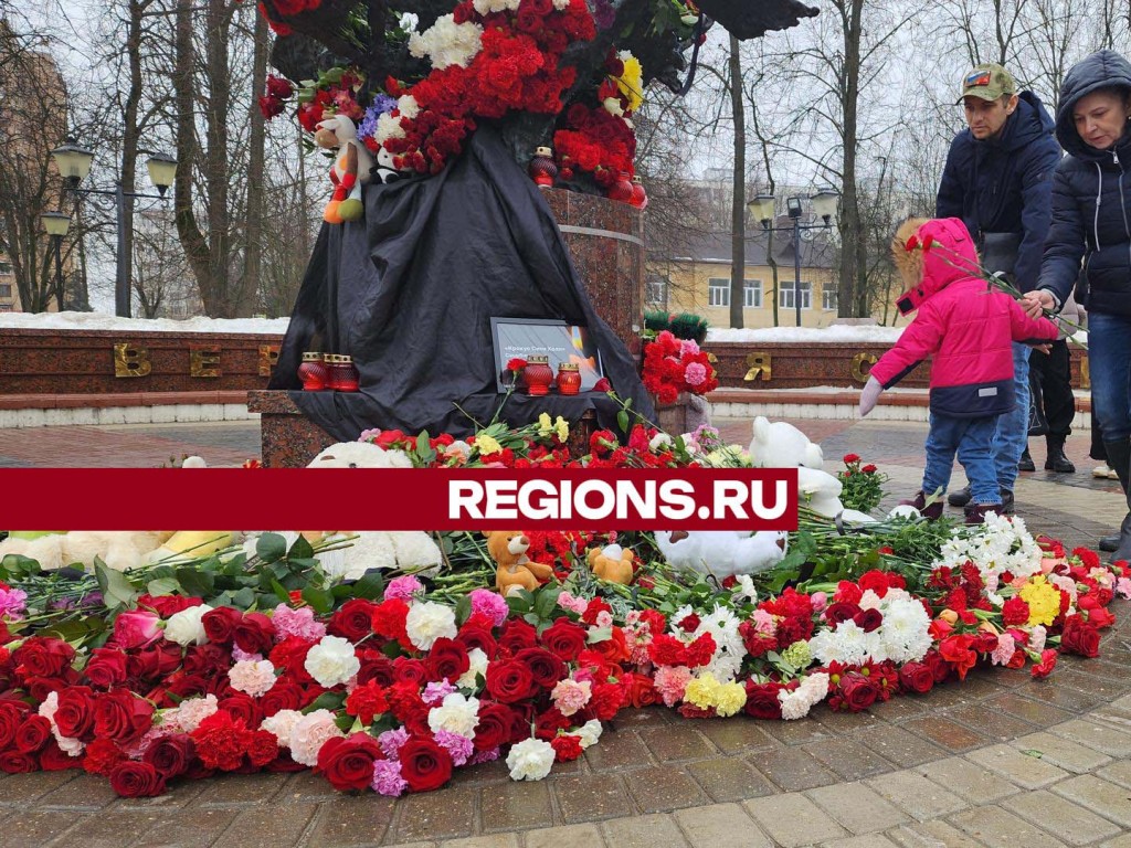 Более 500 человек собрались у мемориала «Журавли» в Ивантеевке на траурном митинге