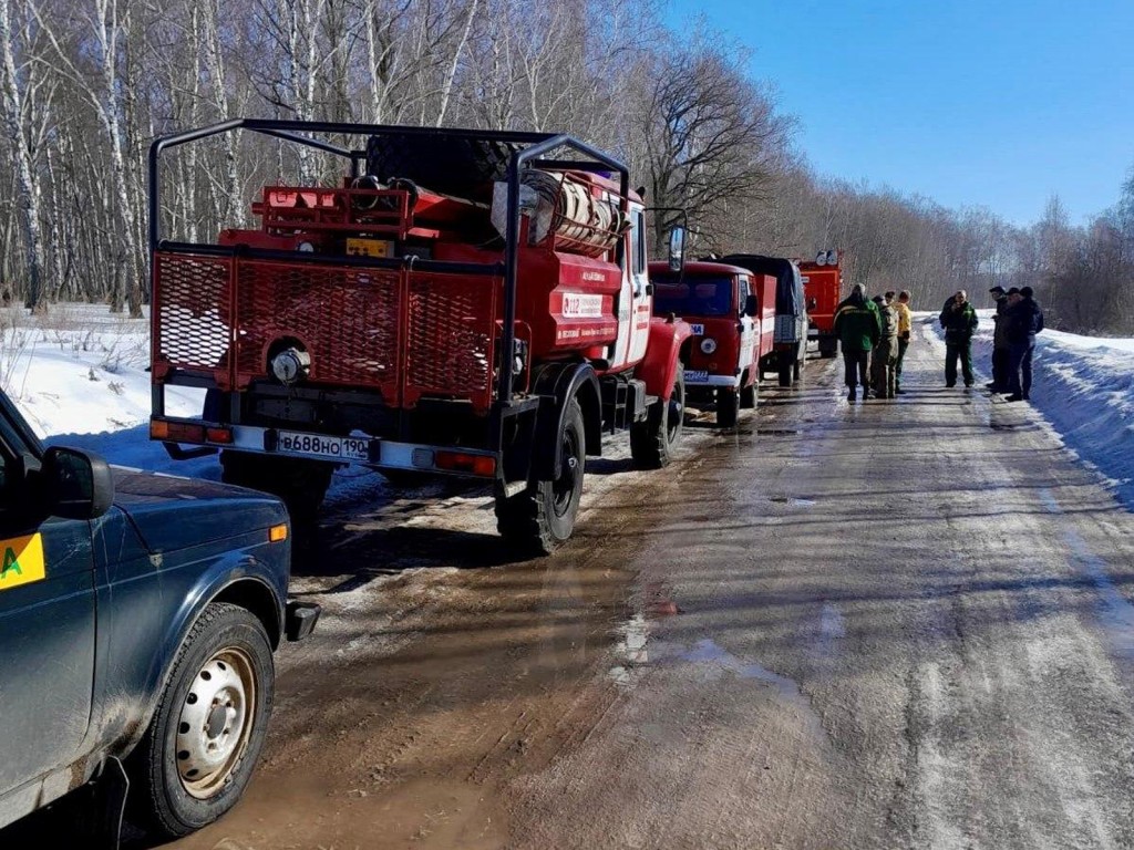 Ступинские лесничие и лесные пожарные отработали навыки тушения пожаров |  REGIONS.RU / Ступино