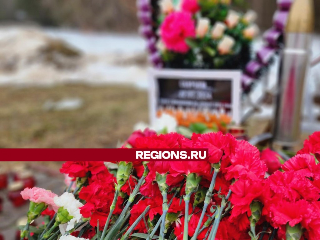 Ковром из гвоздик покрылось место стихийного мемориала в Протвино