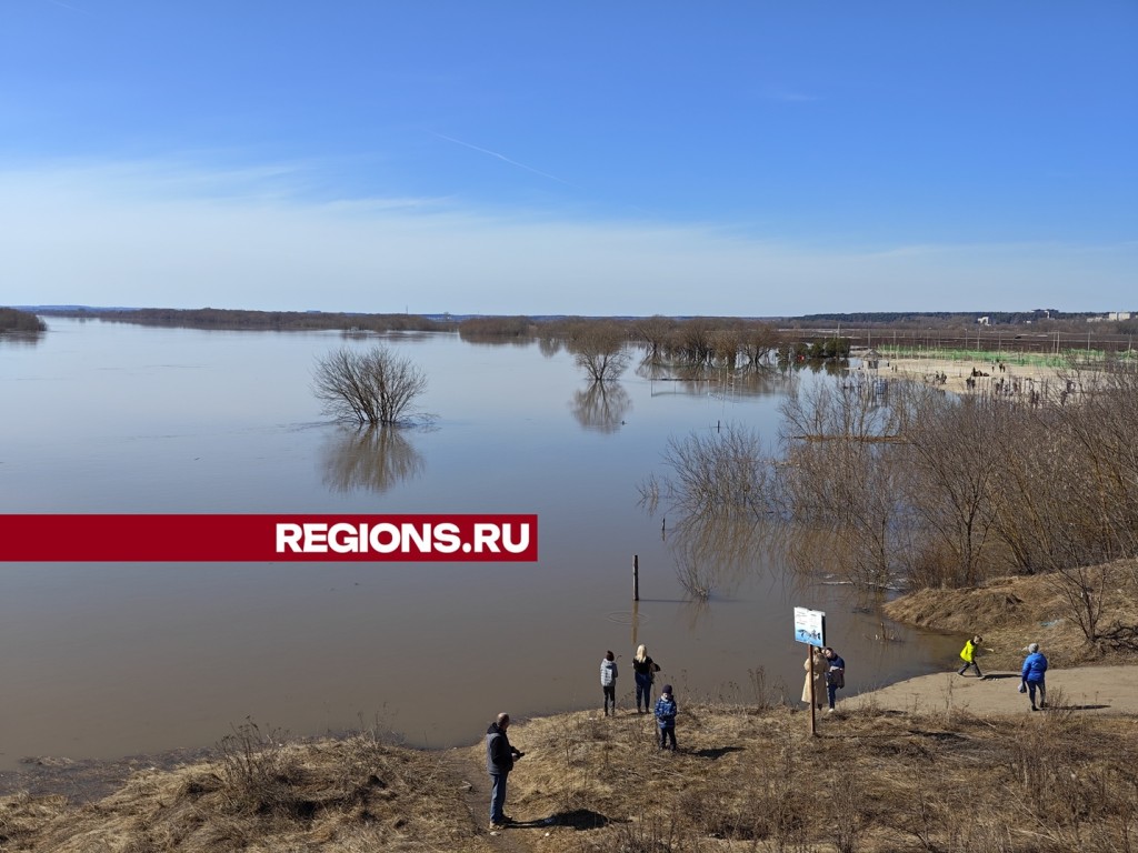 Река Ока под Серпуховом вышла из берегов