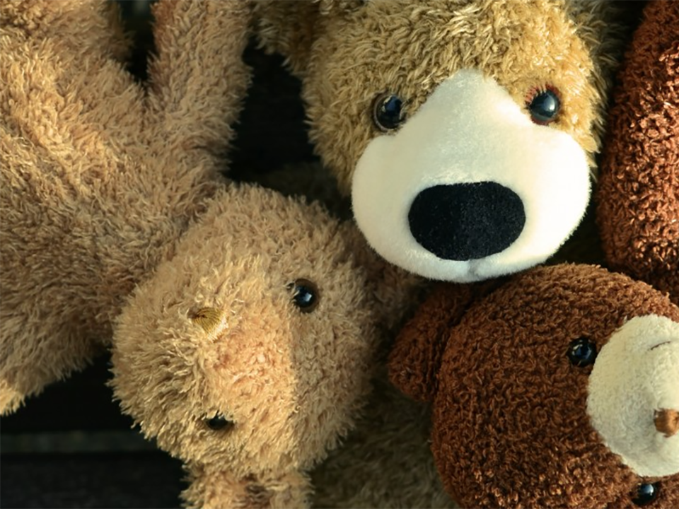 Родителям из Бронниц рекомендуют присмотреться к мягким игрушкам детей