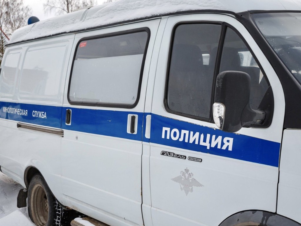 Полицейские Балашихи задержали подозреваемого в краже 30 тысяч рублей
