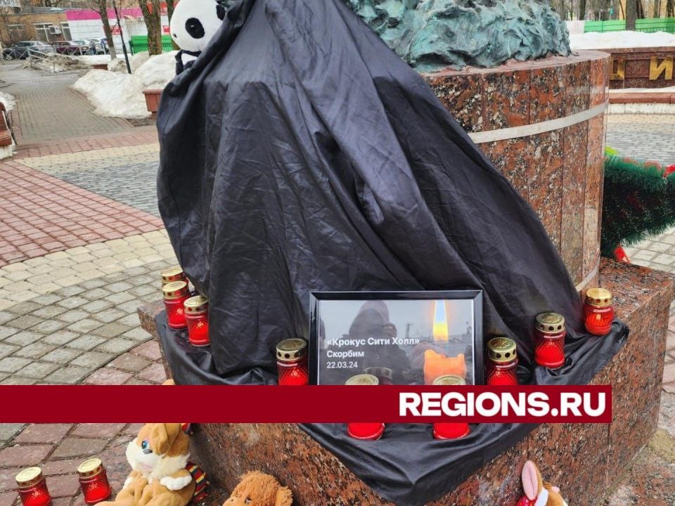 В память о жертвах теракта жители Ивантеевки несут цветы к стихийному мемориалу