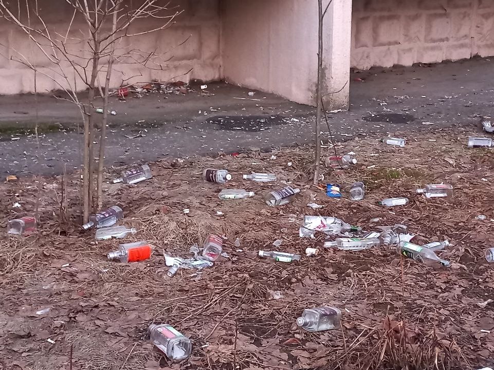 Житель Электростали отомстил собачникам, разложив фекалии их питомцев на тротуаре