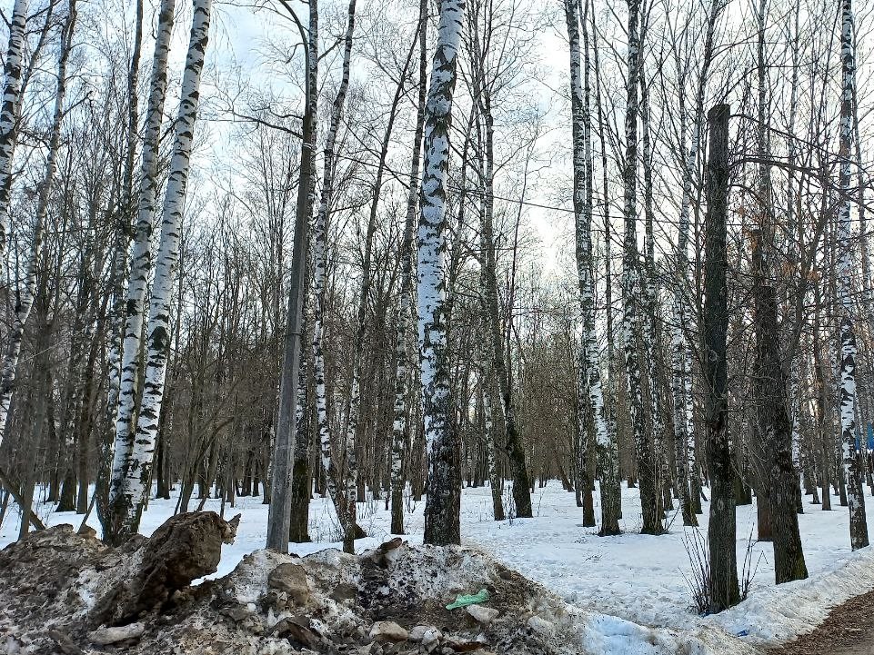 Жители Электростали могут выбрать сквер для благоустройства