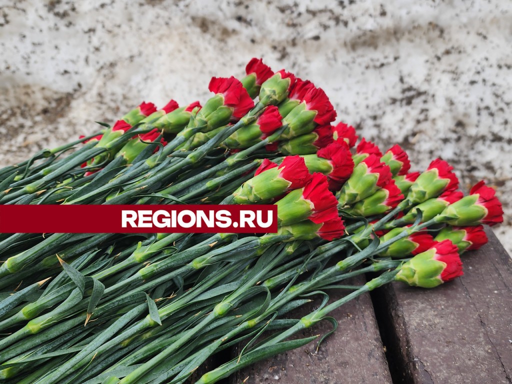 Жители Пушкинского округа возложат цветы к мемориалам в день общенационального траура