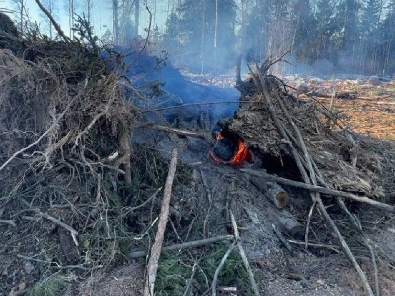 Пожар в Краснознаменске предотвратили сотрудники Минэкологии