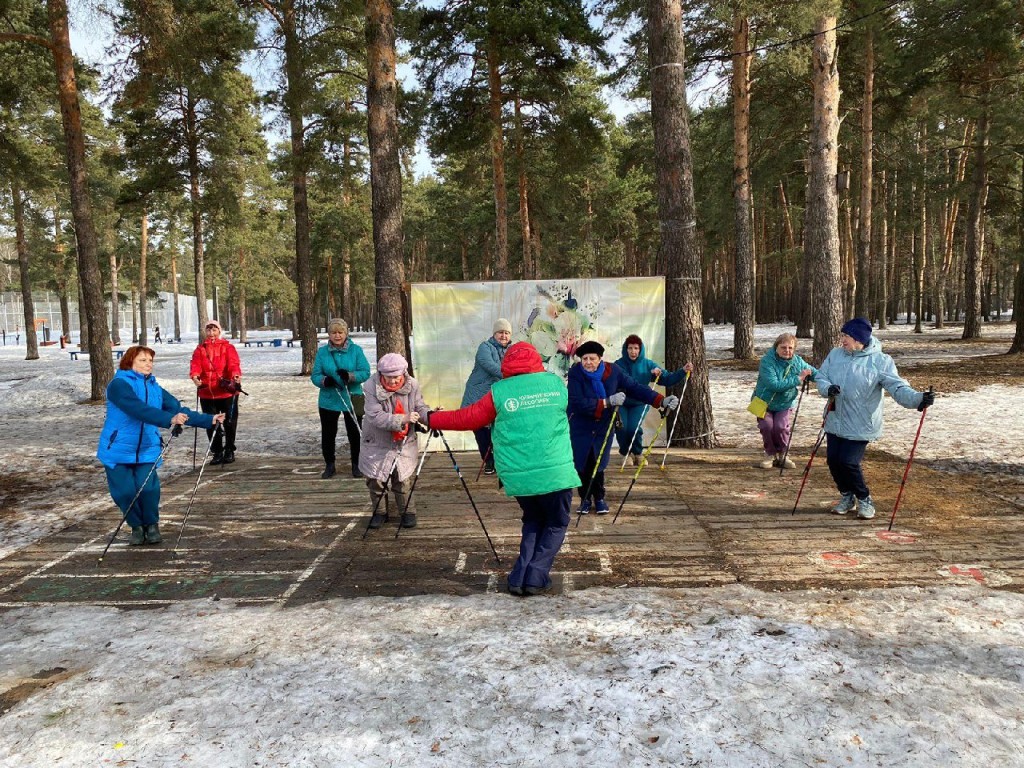 Долголеты из Котельников занимаются скандинавской ходьбой в Кузьминском лесопарке