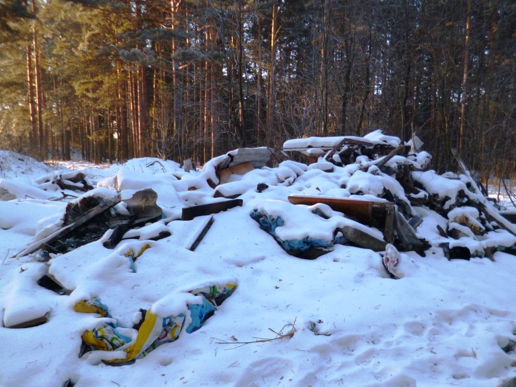 Деньги на мусор: муниципалитету выделены средства на наведение порядка в лесу