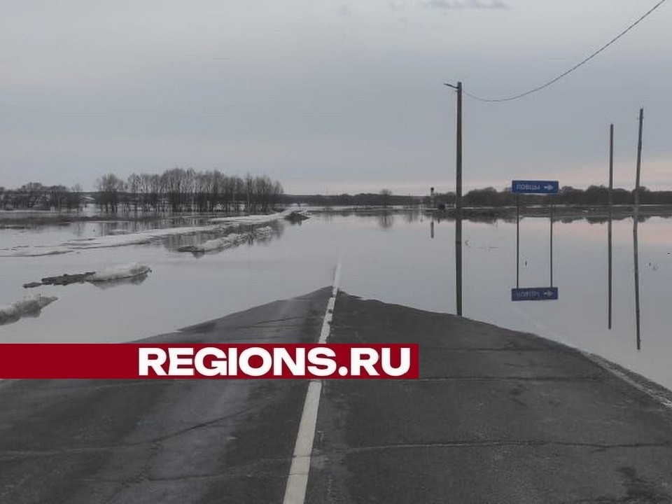 Уровень воды в Оке за субботу поднялся на 111 сантиметров