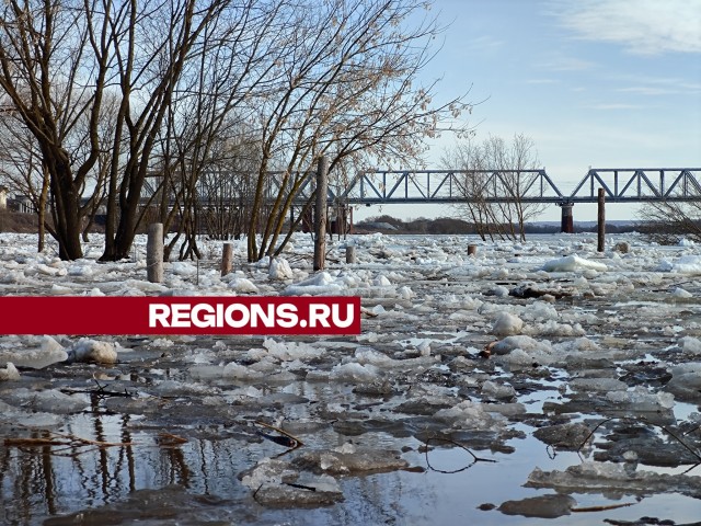 Уровень воды в реке Оке поднялся свыше 518 сантиметров