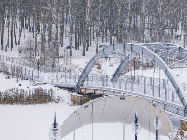 В Дмитрове выберут подрядчика для мониторинга технического состояния Рогачевского моста