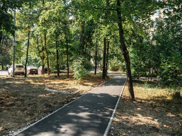 В селе Петровское обустроят «народную тропу»