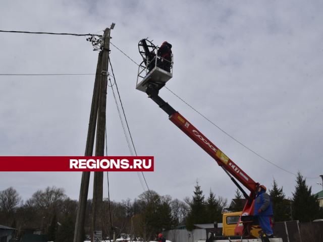 «Он вернулся»: в деревне Ошейкино энергетики установили новое гнездо для краснокнижного аиста