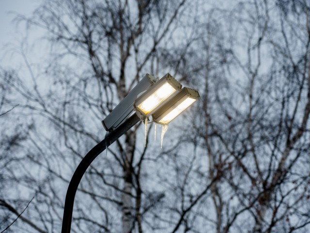 Наружное освещение выключили во Фрязинском лесопарке, чтобы избежать аварий при возможных подтоплениях зоны отдыха