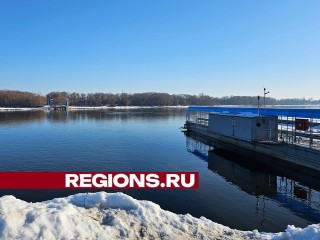 В шаге от разлива: уровень воды в Оке по округу продолжает расти