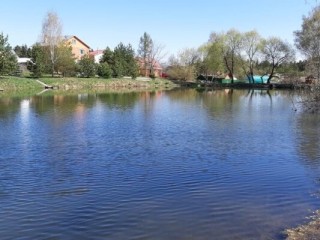 За благоустройство зоны отдыха у пруда в селе Введенское проголосовали около 410 человек