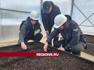 В Солнечногорске стартовал эксперимент по выращиванию растений в техногрунте