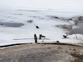 Двух немецких овчарок, которые провалились под лед, спасли в Волоколамске