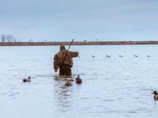 Сезон весенней охоты открыт в лесах Большого Серпухова