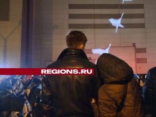 Журавлиный клин поднялся в небо Красногорска в память о погибших во время теракта