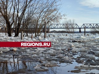 Уровень воды в реке Оке поднялся свыше 518 сантиметров