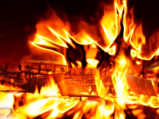 Пожар в хозяйственной постройке в поселке Тучково оперативно потушили огнеборцы
