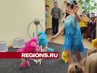 Дрессированные пудели и обезьянка устроили цирковое шоу для подопечных социального центра в Красноармейске