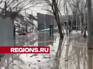 Вольеры тонут: собачий приют в Подмосковье затопило второй раз