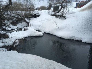 Самовольно захваченный земельный участок в санитарно-защитной зоне Одинцовского округа конфискуют