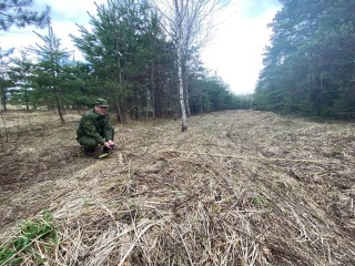 Лесничие проверят территории Орехово-Зуева на соблюдение правил пожарной безопасности