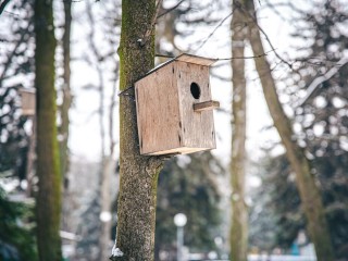 В Лосино-Петровском выберут самый креативный скворечник