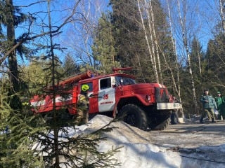 Условные пожары тушили в Нарском участковом лесничестве