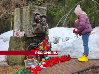 Жители Дубны несут цветы и игрушки к мемориалу в память о жертвах теракта