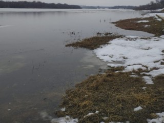 На полметра поднялся уровень воды в Оке возле Каширы