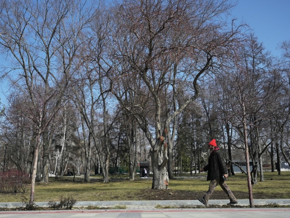 Прохладно и дожди: какая погода сегодня ждет жителей Подмосковья