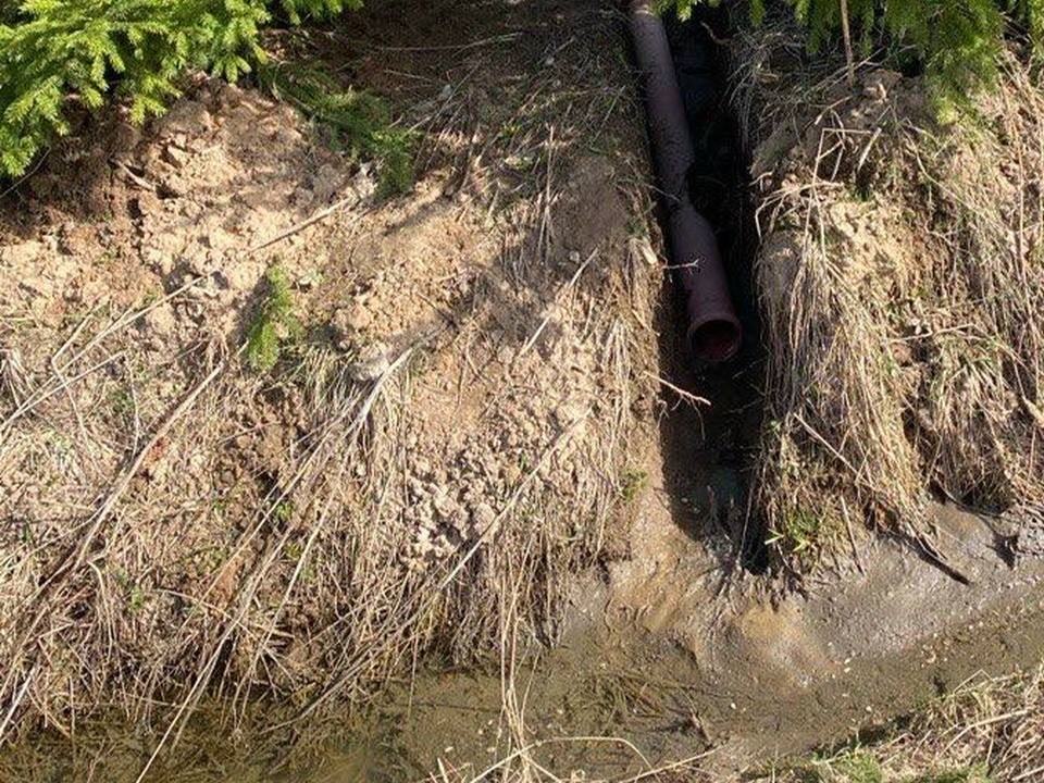 Химические вещества в деревне Матвеевское предположительно сбрасывали из частного домовладения