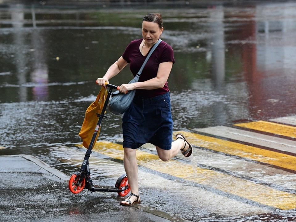 МЧС предупредило жителей Москвы и области о шквалистом ветре на выходных