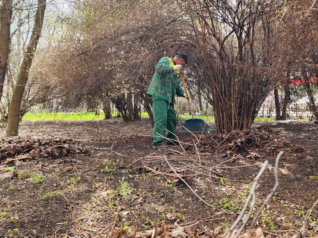 На Ковровом, 18 в Котельниках высадили в клумбы цветы, обрезали деревья и убрали прошлогоднюю листву