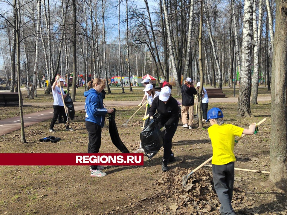 Школьники Пушкинского округа будут сажать деревья в парках в «День добрых дел»