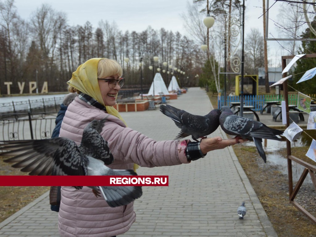 Шатуряне участвуют в акции «Пернатые Подмосковья»