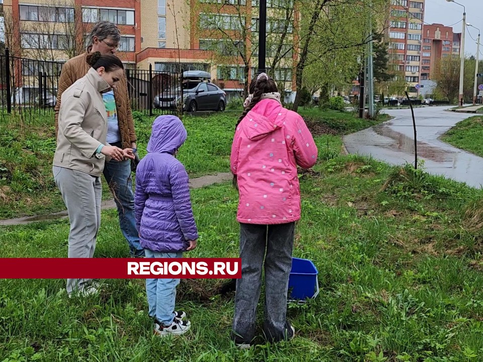 Супруги Волковы с двумя дочерьми посадили молодые дубы в сквере 40-летия Победы
