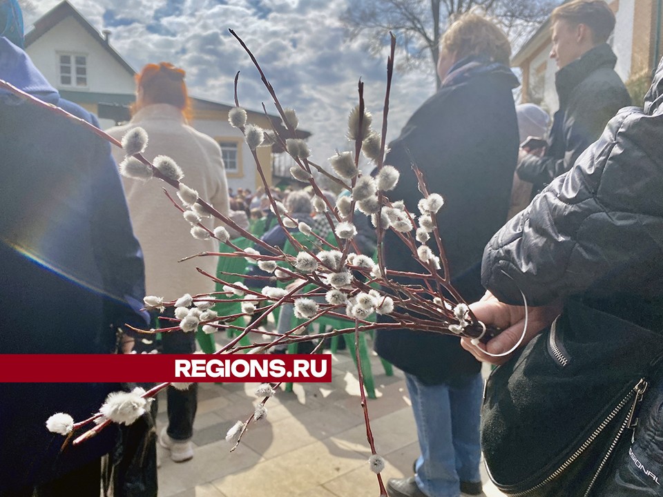Пушкинский священник напомнил об истинном смысле Вербного воскресенья