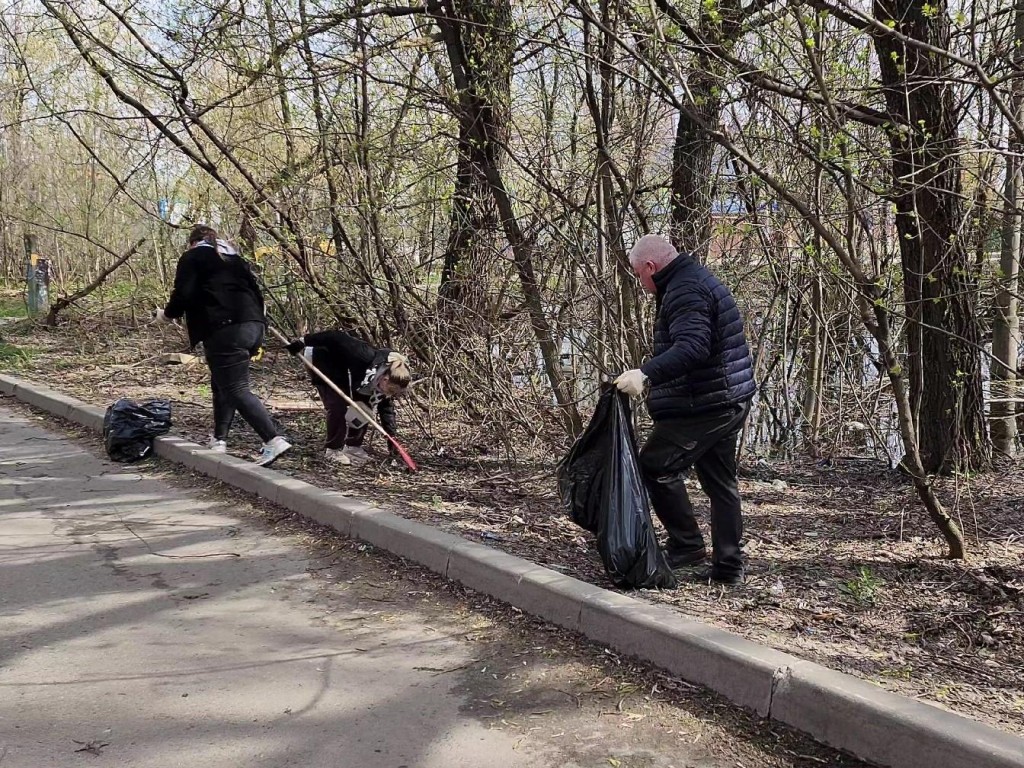 В малом лесу на Силикате в Котельниках убрали 20 кубометров мусора